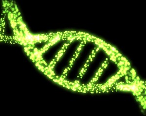 Des gènes extraterrestres dans l’ADN humain